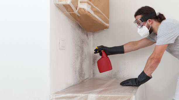 Professional Bathroom Mold Removal technician working in Burtonsville, MD