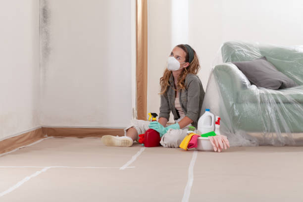 Reliable Bathroom Mold Removal contractor in Burtonsville, MD by 24 Hour Mold Removal